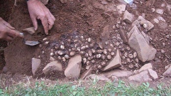 Roman bullets tell story of 1,800-year-old attack on Scottish fort