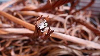 FCC announces plans to upgrade century-old phone system