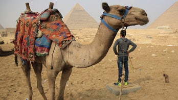 Saudi man's family calls for divorce after wife kisses camel