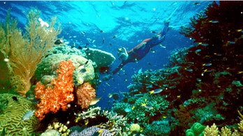 Australia approves dumping dredged mud around Great Barrier Reef