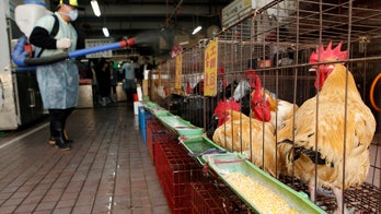 China reports another bird flu death, total now 8