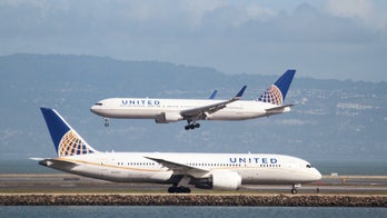 United sued by Iowa businessmen over death of Simon the giant rabbit