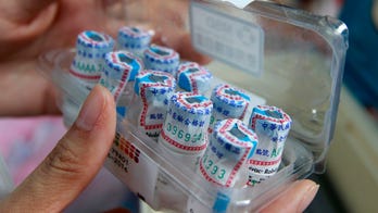 Rabies kills 24,000 a year in Africa because vaccine costly, experts say