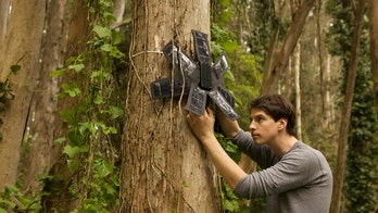 High-Tech Flower Coming To The Amazon – One That Can Monitor Illegal Logging, Poaching