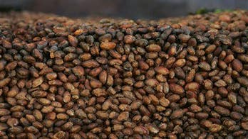 Researchers figure out how to make chocolate healthier