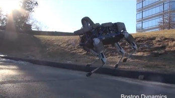 Boston Dynamics' robotic dog is going through basic training with the Marine Corps