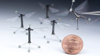 Fly-sized robot takes first flight