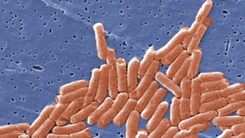 USDA threatens to shutdown CA poultry producer linked to salmonella outbreak