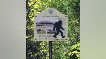 Sasquatch sighting! Maine police say Bigfoot artist painted mythical beast on public property