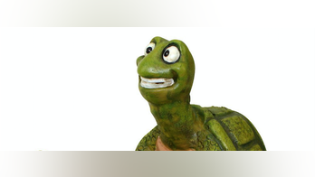 Tackiest Lawn Decor Ever, From Stripper Gnomes to Randy Turtles