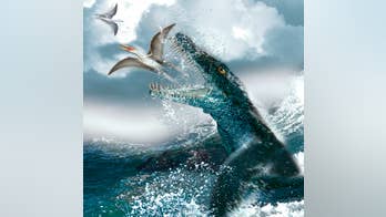 150-million-year-old sea monster discovered in Poland