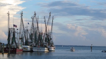 Lawmakers look to combat seafood fraud