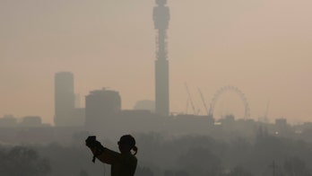 ‘Art of the selfie’ course to launch in UK