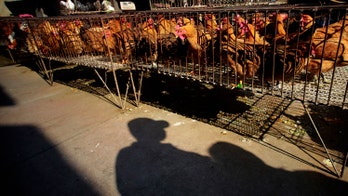 South Korea raises bird flu alert as three more cases found at poultry farms