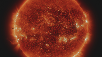 Earth's shields protect life from the Sun on 'one strange rock'