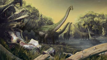 A Titanosaur the size of a Killer Whale once stomped across Africa