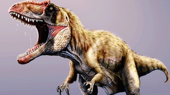 Man-eating monster dino nearly wiped out T.rex
