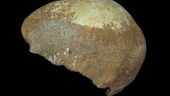 Ancient partial skull from Israeli cave linked to migration of humans from Africa to Europe