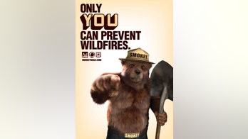 Forest Service says no more bear selfies --  unless it’s with Smokey