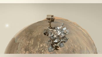 Life detection on Mars: Are Red Planet protocols in place?