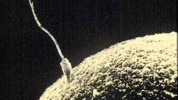 Sperm's quirky swimming techniques revealed