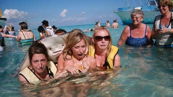 Best animal photobombs taken while traveling