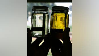 Study finds that vegetable oils pose health risks in cooking