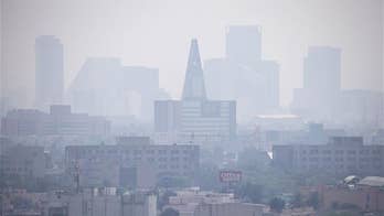 Study suggests link between air pollution, Alzheimer's