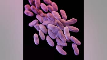 Superbug's genetic trick earns it the nickname 'phantom menace'