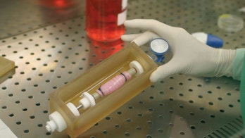 Synthetic organ technology moving forward