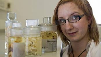 Tapeworm genome points way to better drug treatments