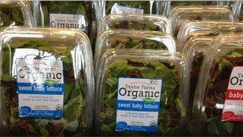 Firm linked to tainted salad halts shipments from Mexico to US