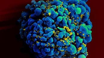 Treatment raises 'real possibility' of curing HIV