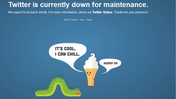Twitter website back online after brief outage