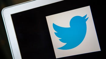 Twitter's US user growth stalls as revenue jumps