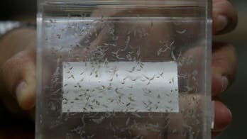 Still fighting: Vietnam vets seek help for rare cancer