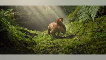 Dinosaurs ‘would’ve lived on’ as experts reveal ‘they were thriving’ before asteroid wiped them out