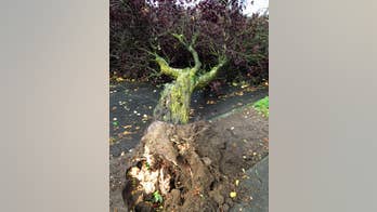 Tornado hits Washington state; residents told to avoid damaged section of city
