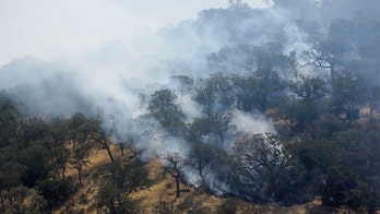 California wildfires: Can burning marijuana fields get you high?