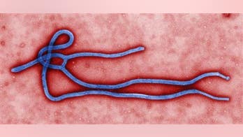 What would happen if Ebola came to the US?