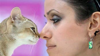 Your cat could be clawing away at your mental health