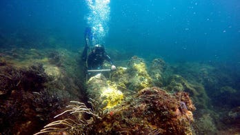 Wreck of Dutch warship found buried beneath coral