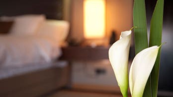 The hotel room of the future will listen to you- and talk back