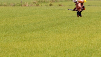 Forget pesticides, farmers can shoot bad bugs with lasers