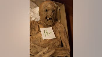 Hungarian mummy offers clues to cancer mystery