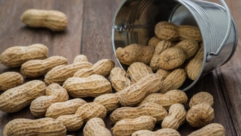 Researchers inch closer to peanut allergy 'cure'
