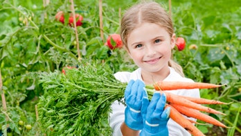 Handy tips for starting your own vegetable garden