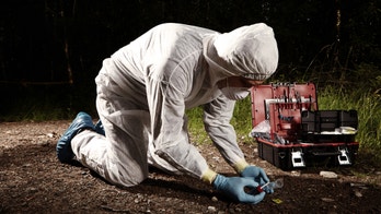 Time of death? Check the body's 'necrobiome'