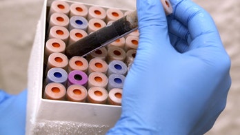 New blood test can detect every virus a person has had
