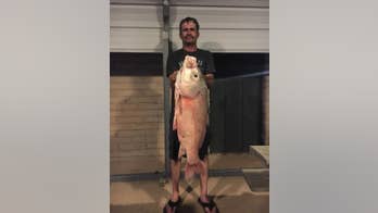 Texas man's 28-pound 'monster' Bigmouth Buffalo catch could break state record